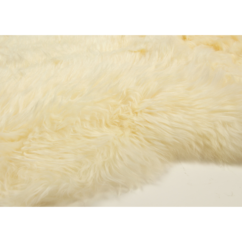 Lambanahk MERINO SHEEP valge (DUO)
