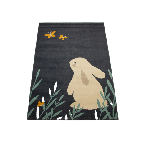 Vaip CANVAS 18423/091