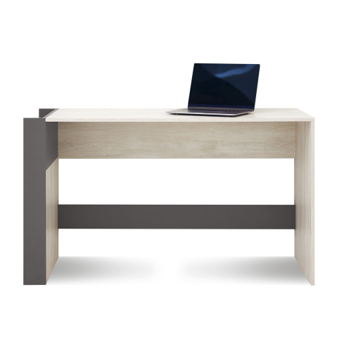 Kirjutuslaud REMO 10