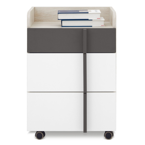 Sahtliboks REMO 11