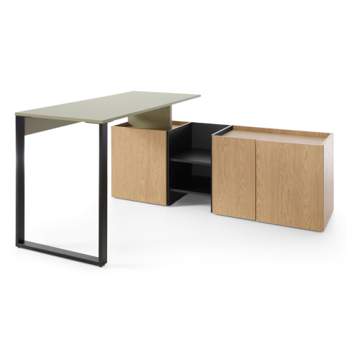 Kirjutuslaud SERGIO 8 roheline/tamm