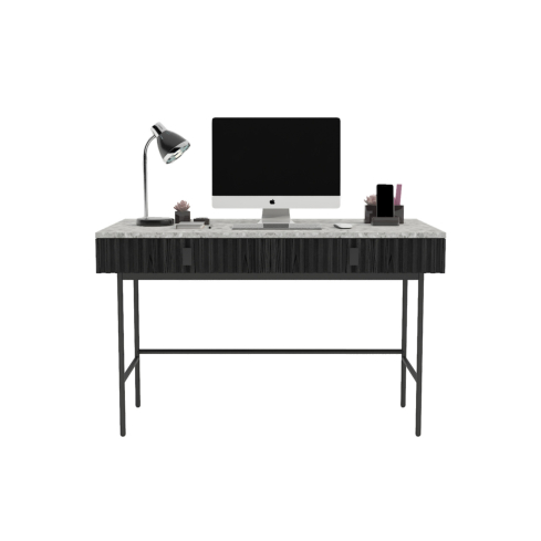 Kirjutuslaud TERRA must tamm