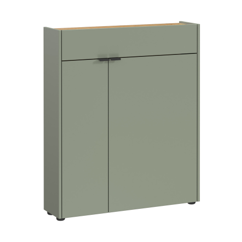 Jalanõudekapp AMECA 1319 roheline/tamm