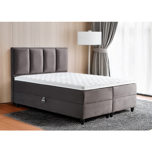 Kontinentaalvoodi BOSTON tumehall