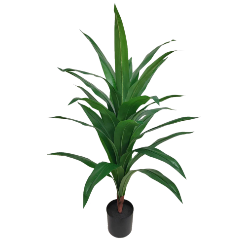 Draakonipuu (110 cm)