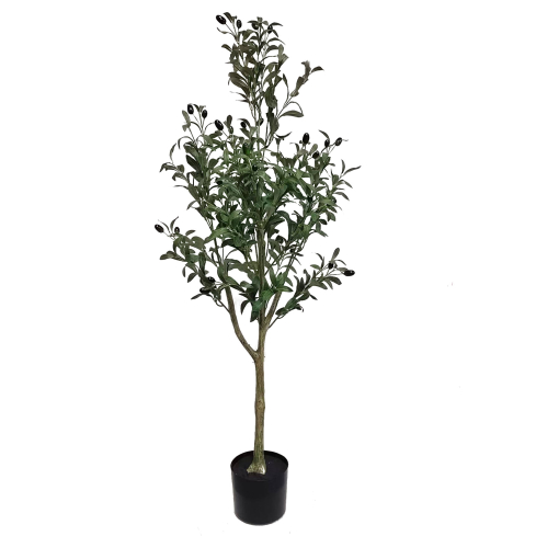 Oliivipuu (130 cm)