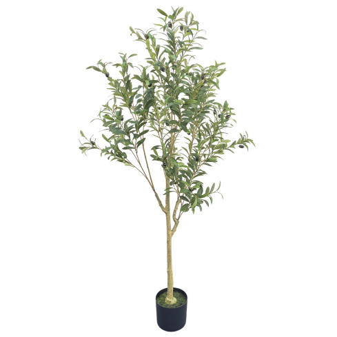 Oliivipuu (150 cm)