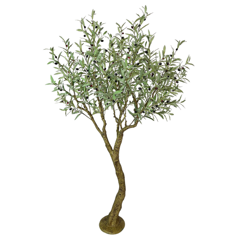Oliivipuu (210 cm)