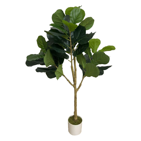 Lüüra-viigipuu (120 cm)