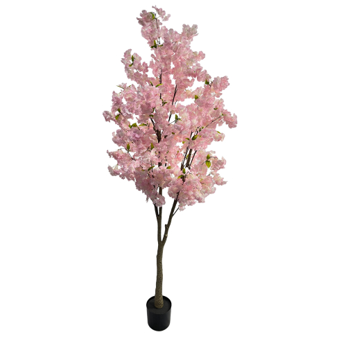 Kirsipuu roosa (180 cm)