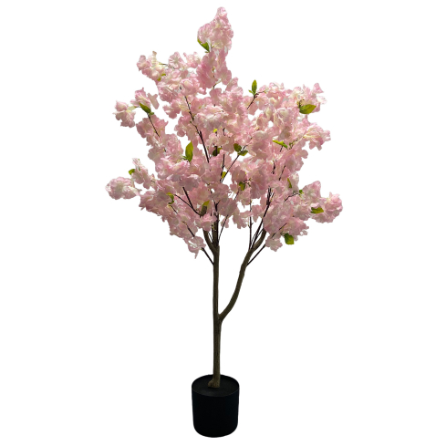 Kirsipuu roosa (120 cm)