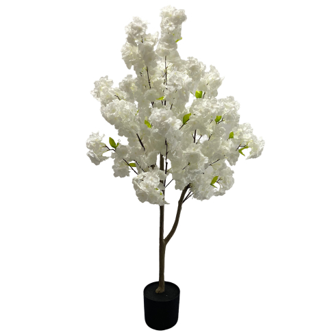 Kirsipuu valge (120 cm)