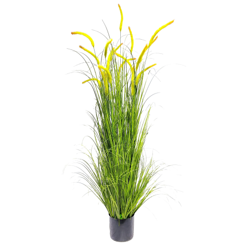 Pilliroog roheline (150 cm)