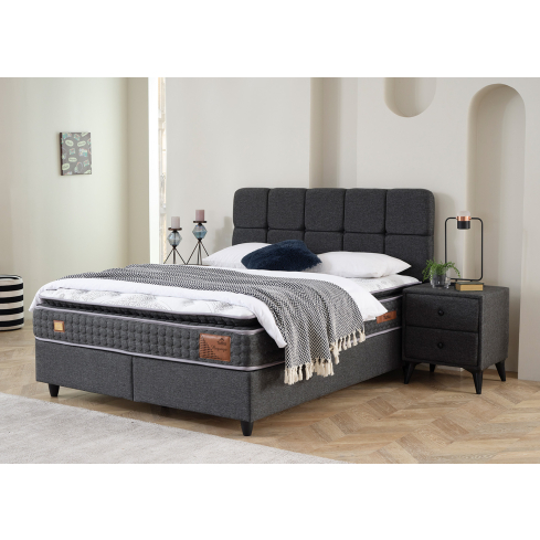 Kontinentaalvoodi BEGONYA