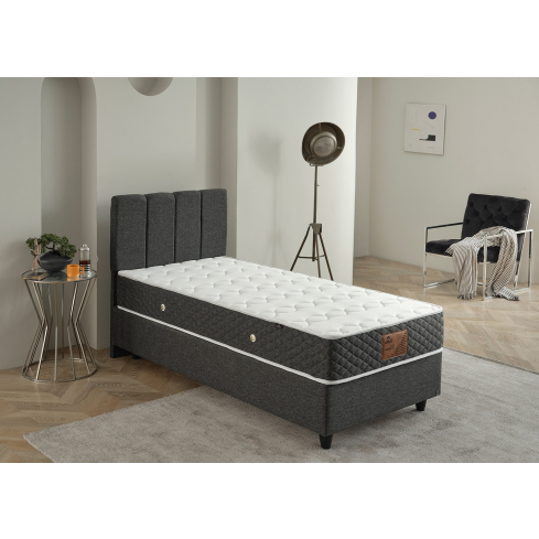 Kontinentaalvoodi ELENA