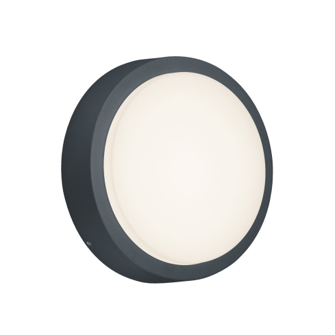 Seinalamp BREG antratsiit